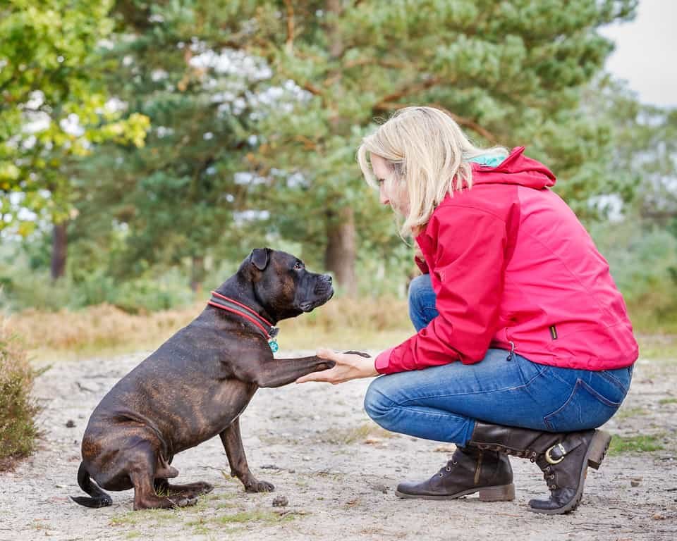 Diane Kasperowicz Dog Trainer and Behaviour Counsellor.jpg